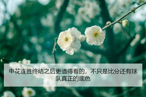 申花连胜终结之后更值得看的，不只是比分还有球队真正的底色